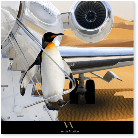 Vertis Aviation 5