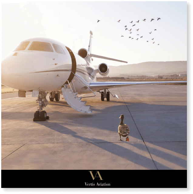 Vertis Aviation 18