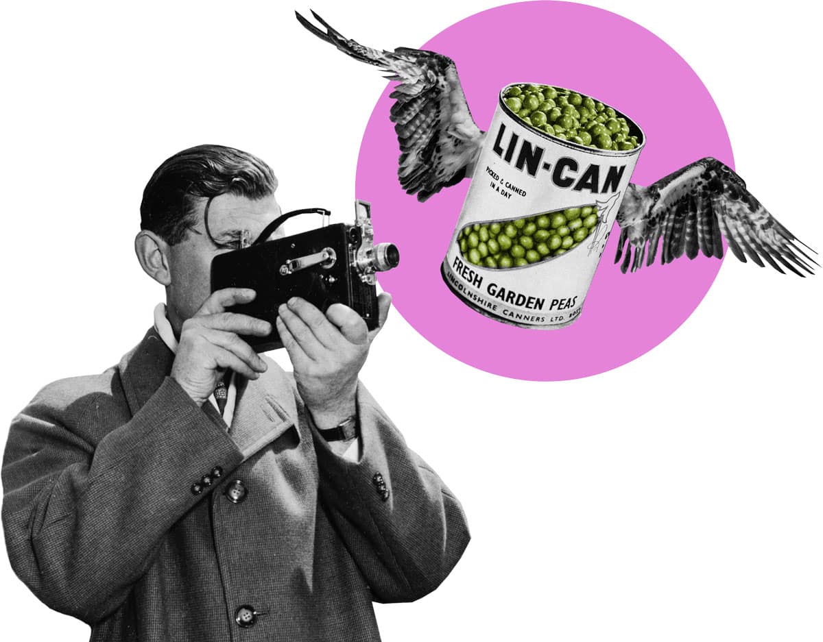 Corporate Film Projekte mit Collective Brain